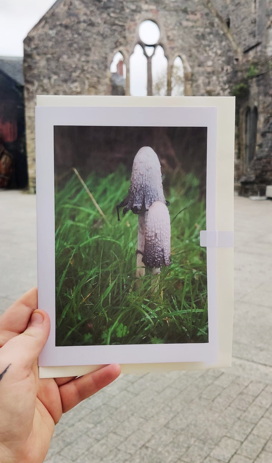 Mushroom Cards