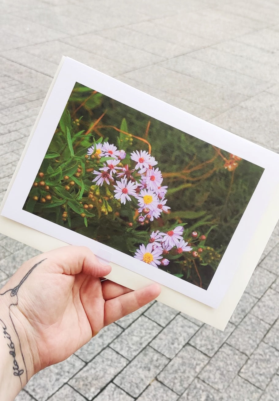 Wildflower cards