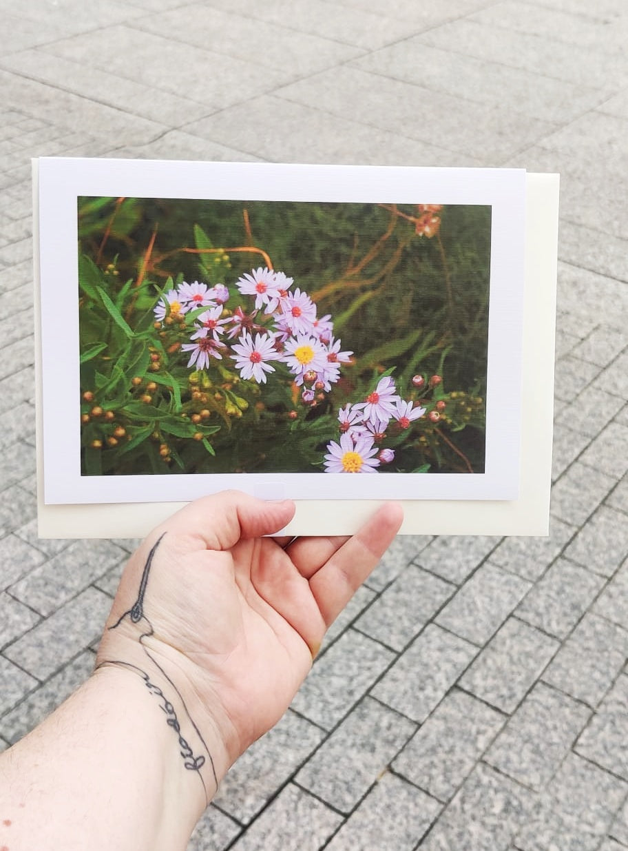 Wildflower cards