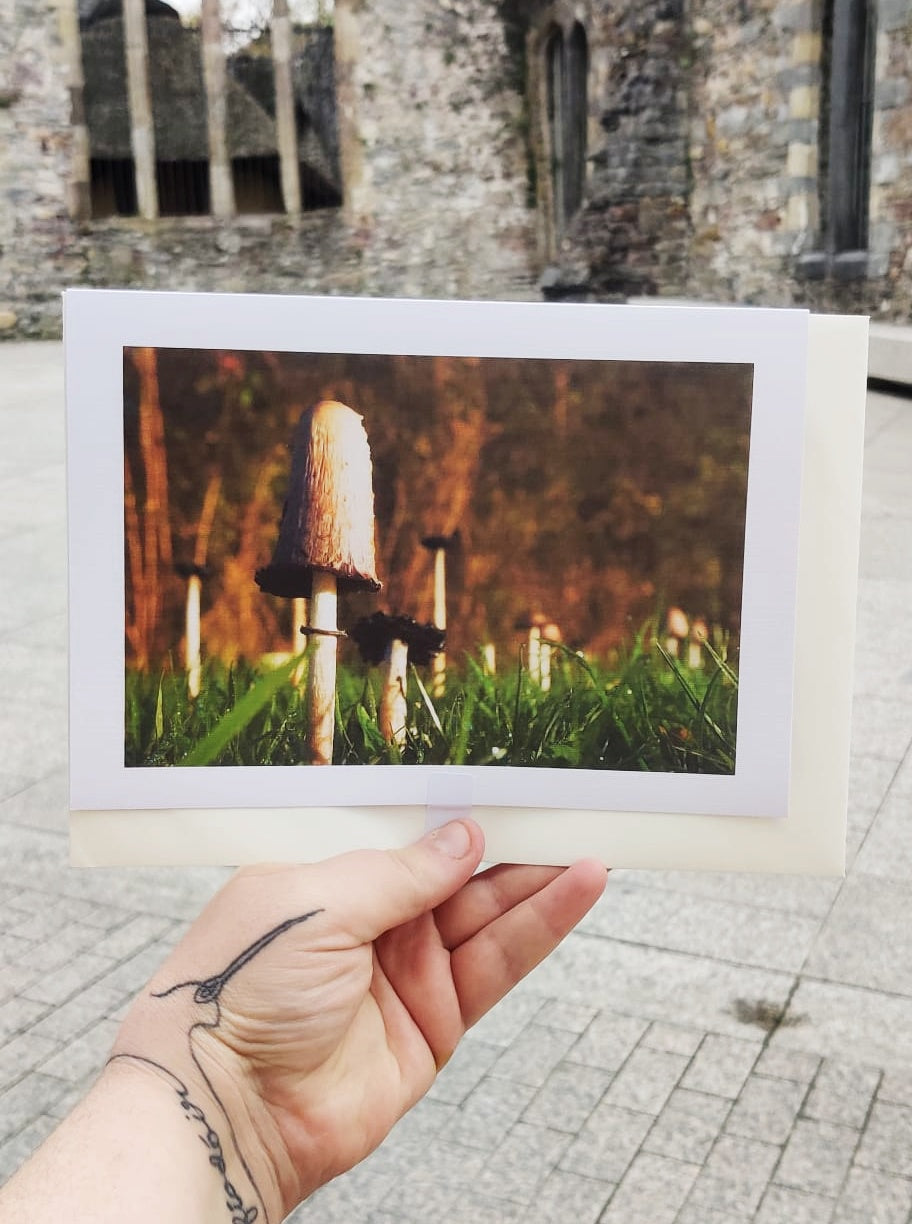 Mushroom Cards