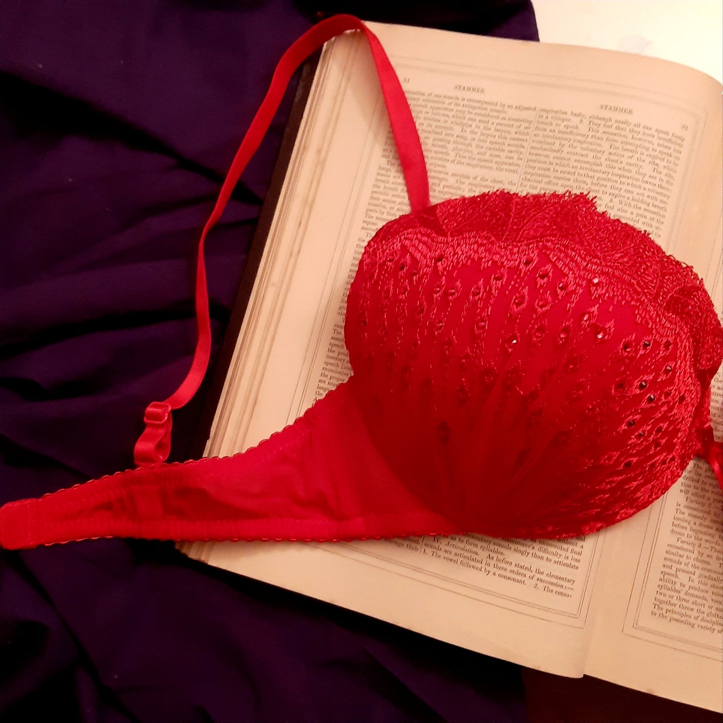 Red gem bra