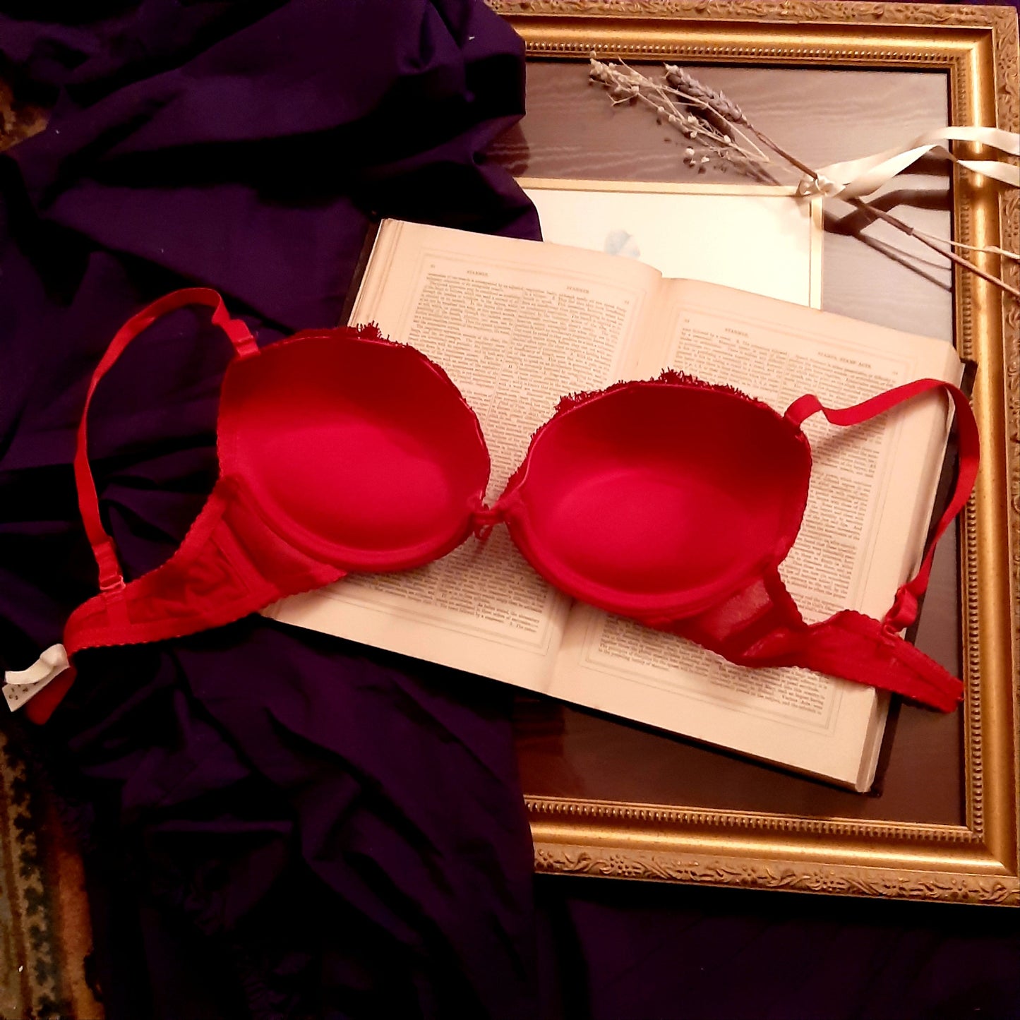 Red gem bra