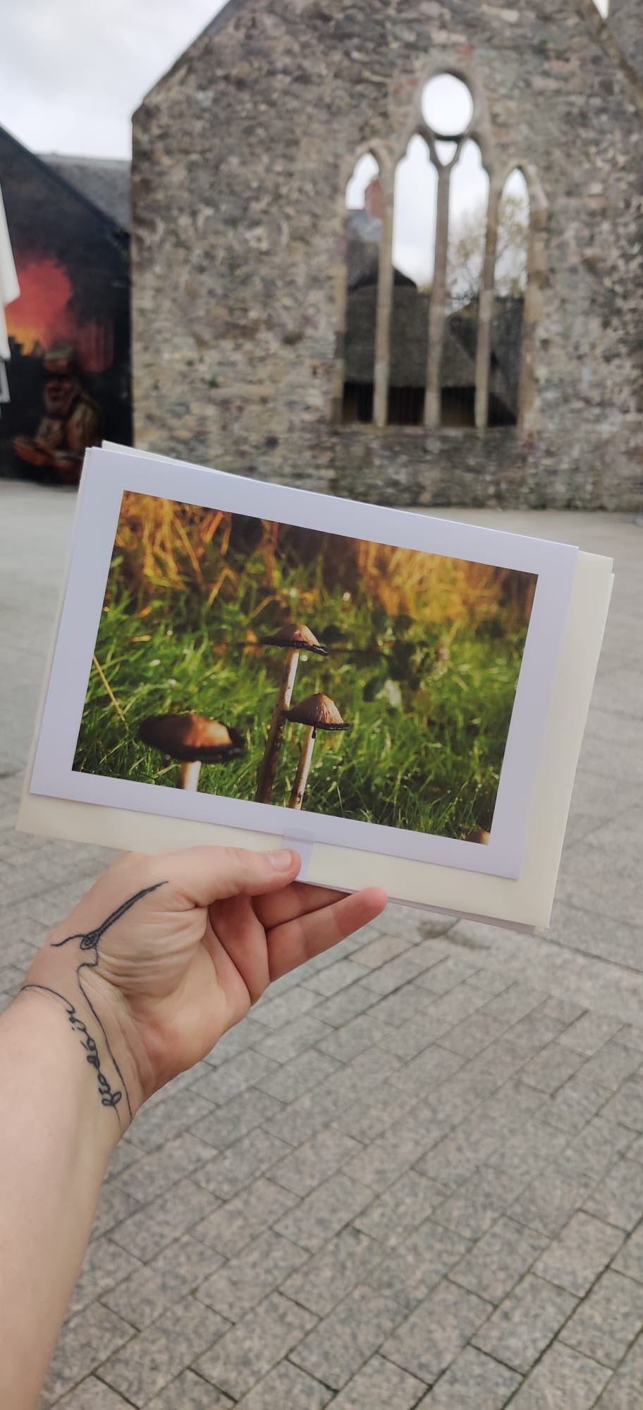 Mushroom Cards