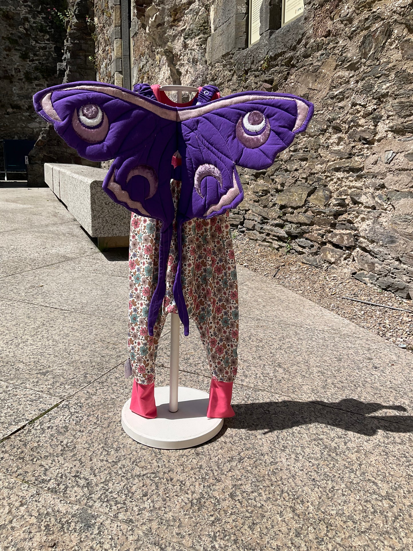 Fairy wings