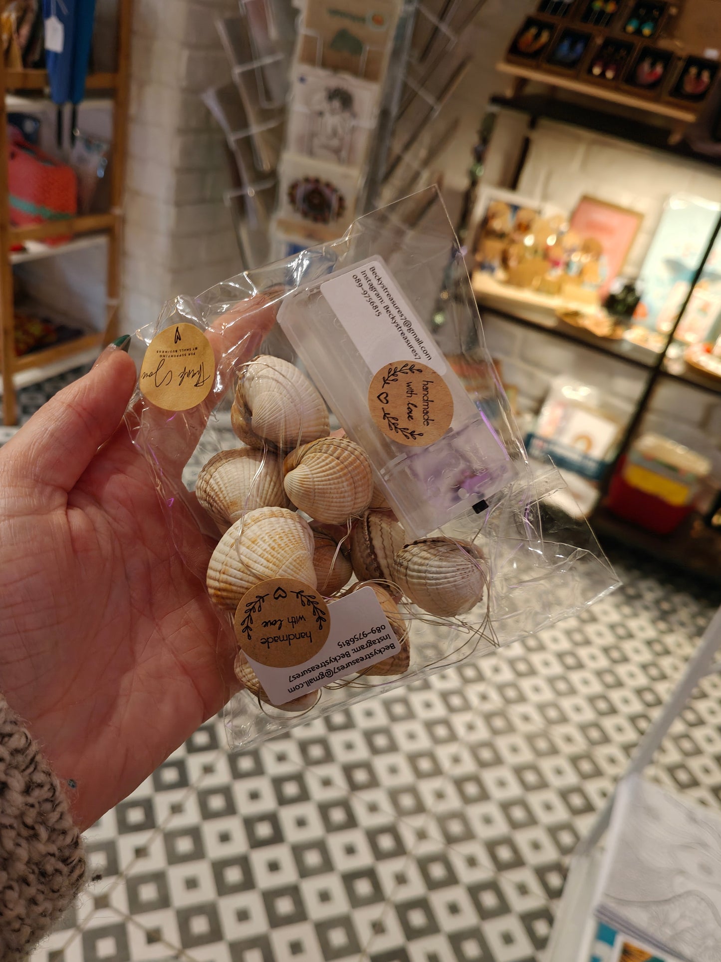 Shell Fairy lights
