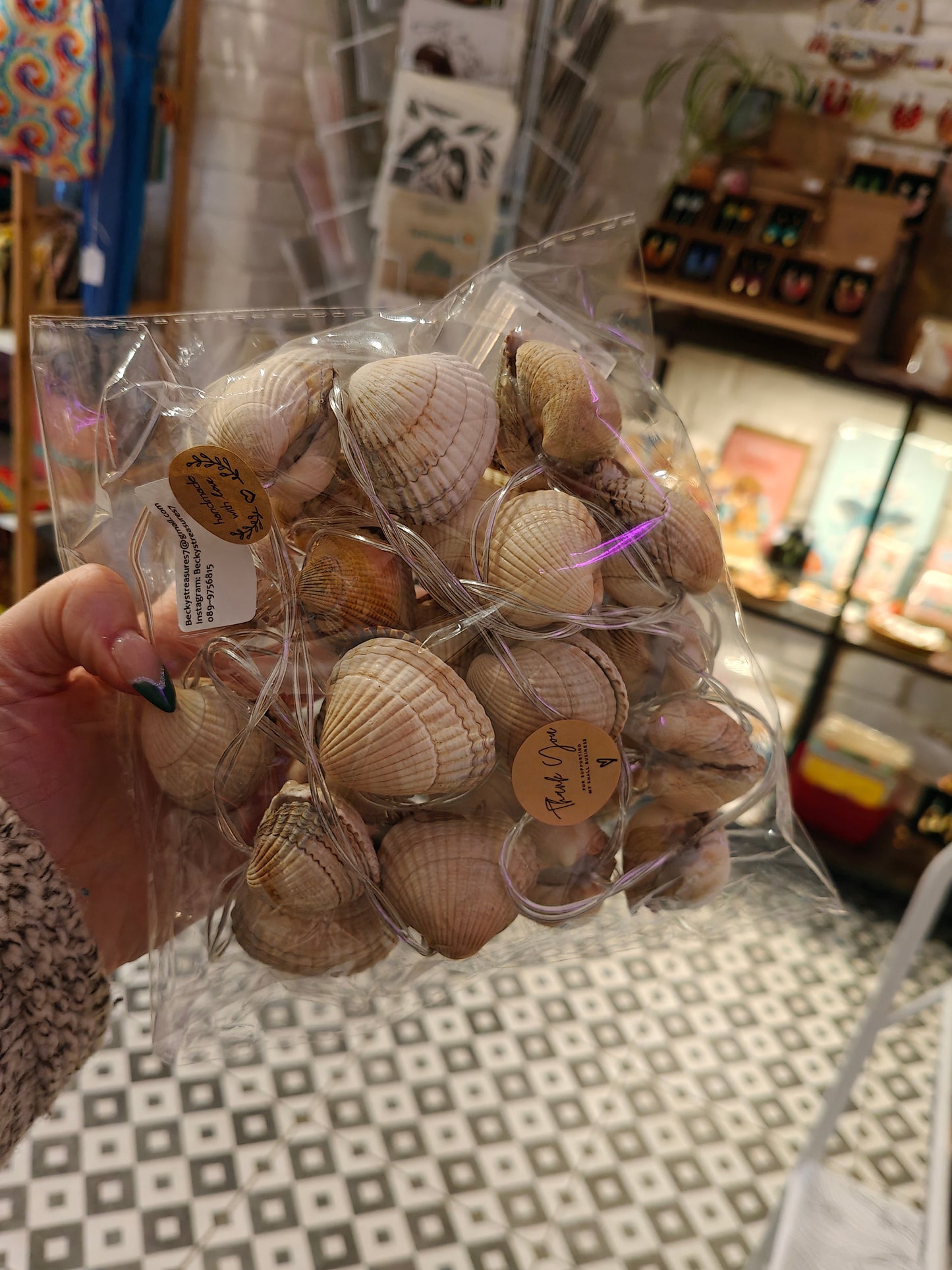Shell Fairy lights