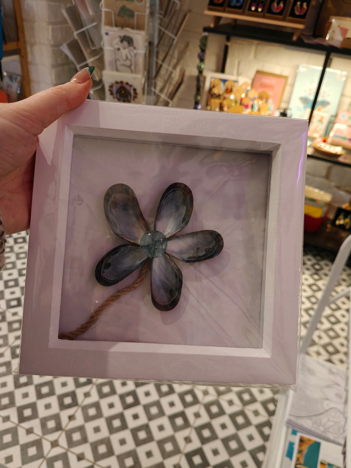 Shell 6x6 Square Frames