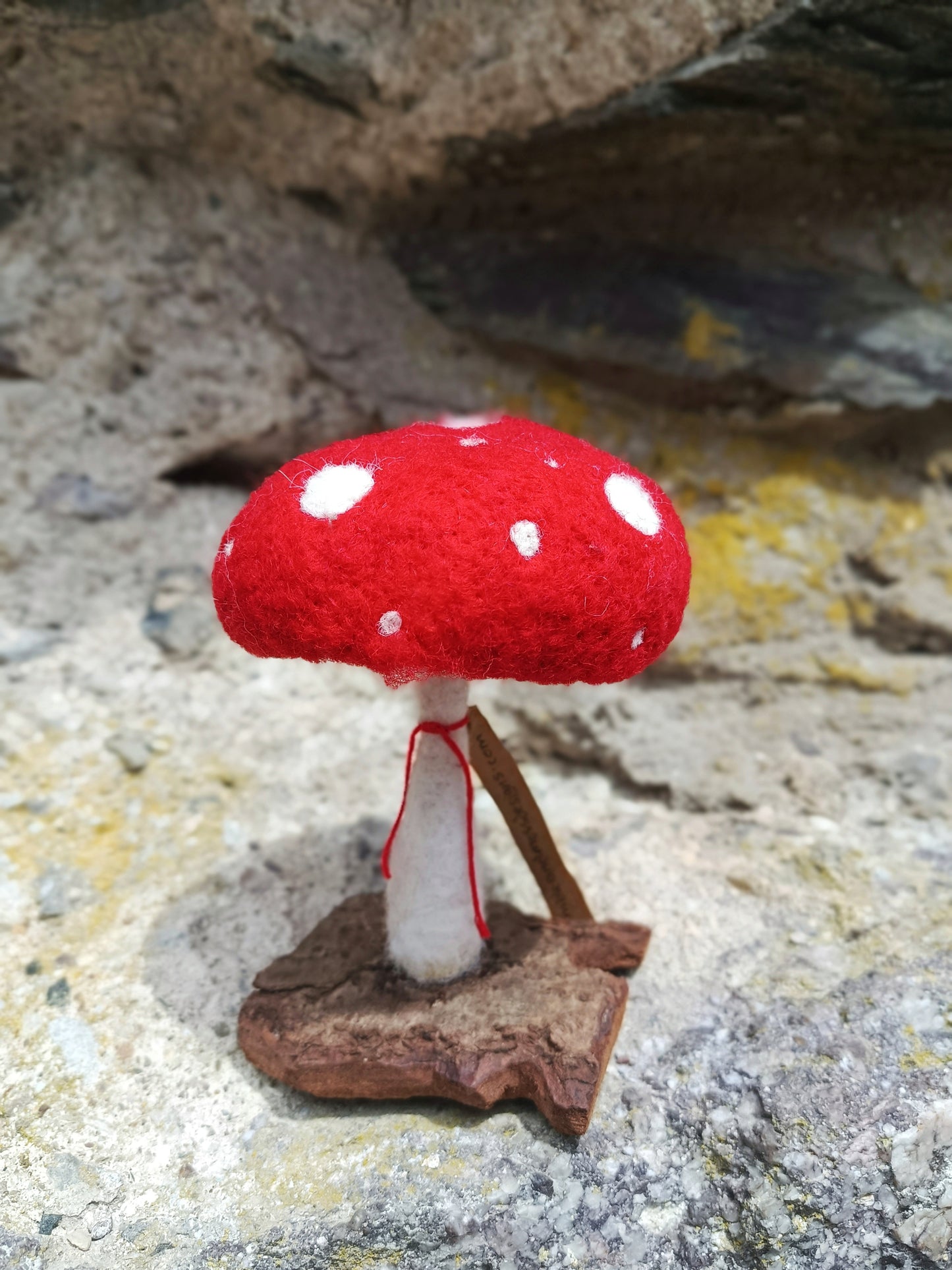 Needle felt Mushroom Sculptures