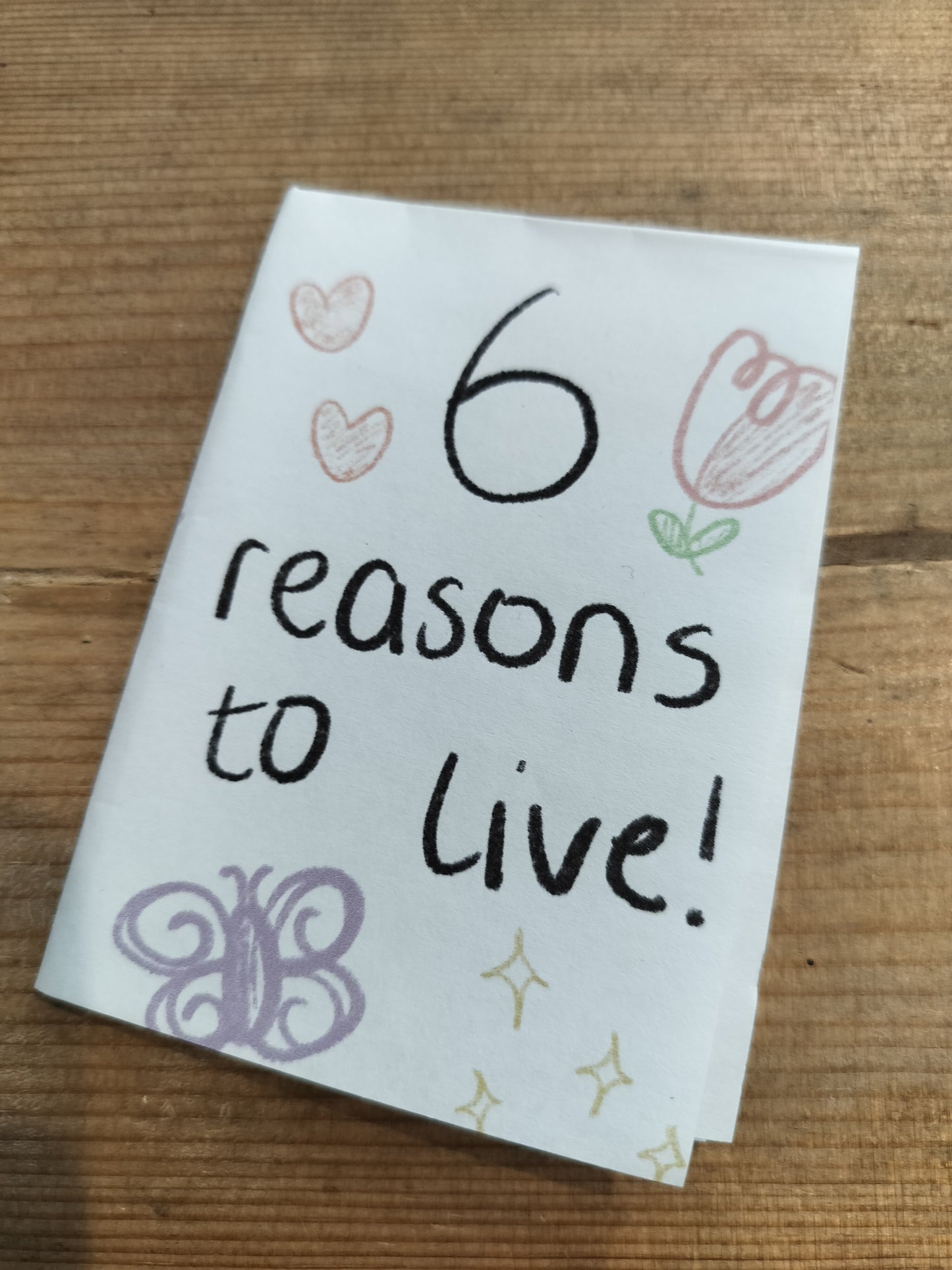 6 reasons to live zine