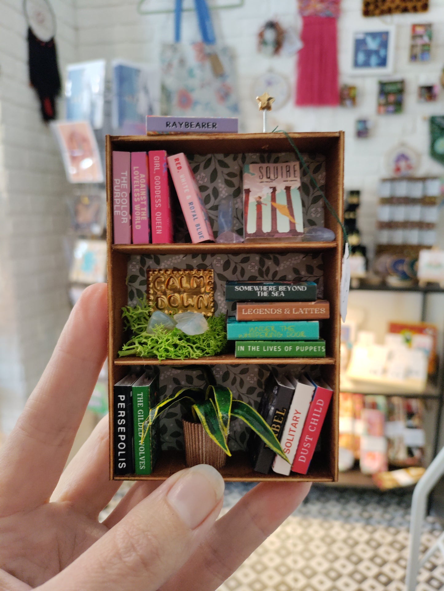 Mini Bookshelves