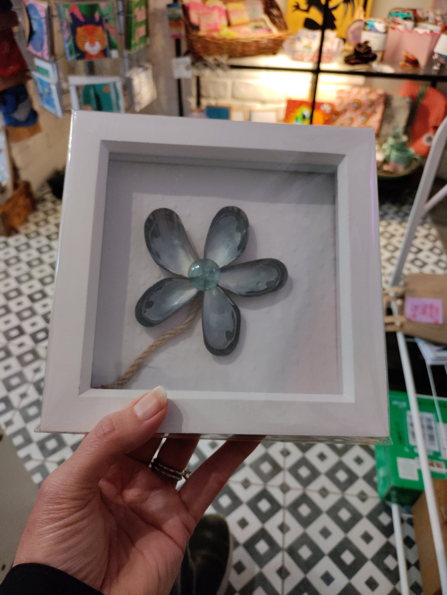 Shell 6x6 Square Frames