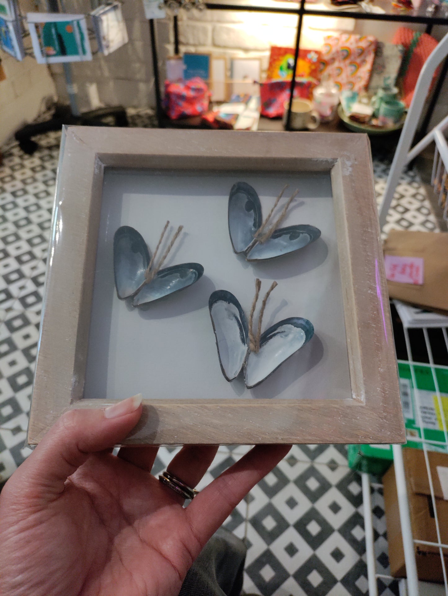 Shell 6x6 Square Frames