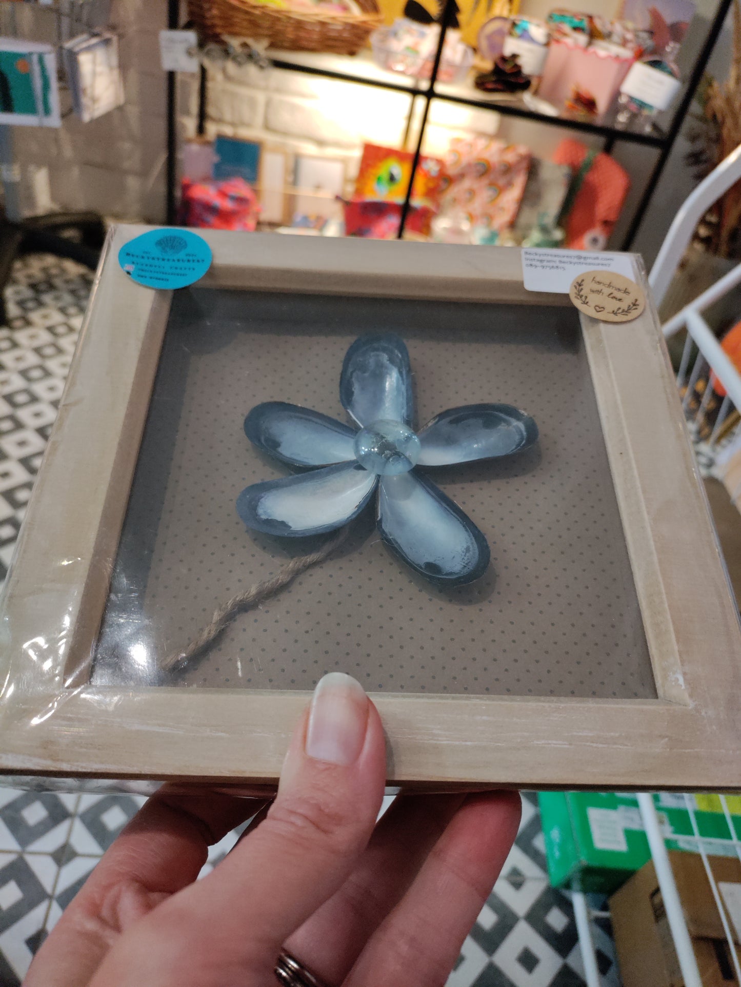 Shell 6x6 Square Frames