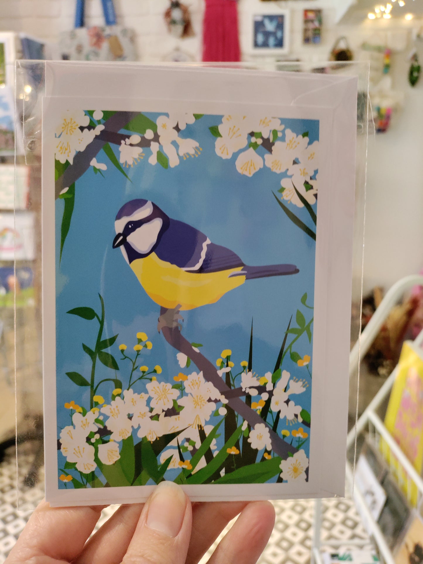 Cards A6 - Sorcha Ryan