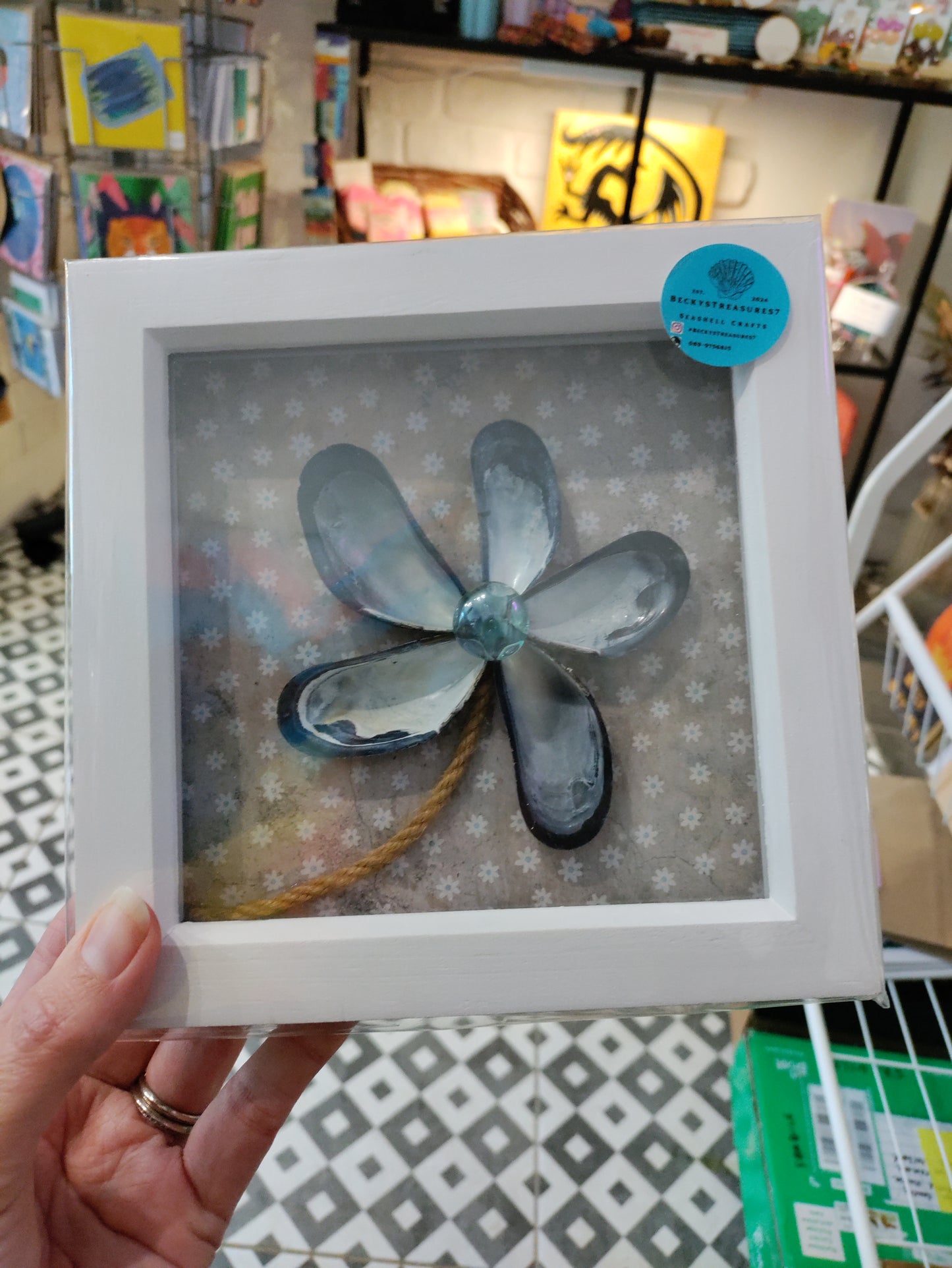 Shell 6x6 Square Frames