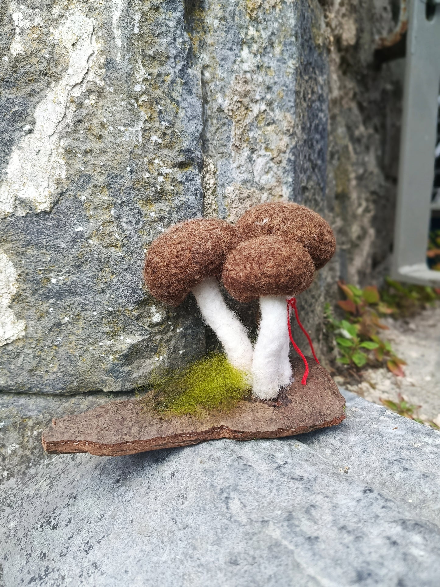 Needle felt Mushroom Sculptures