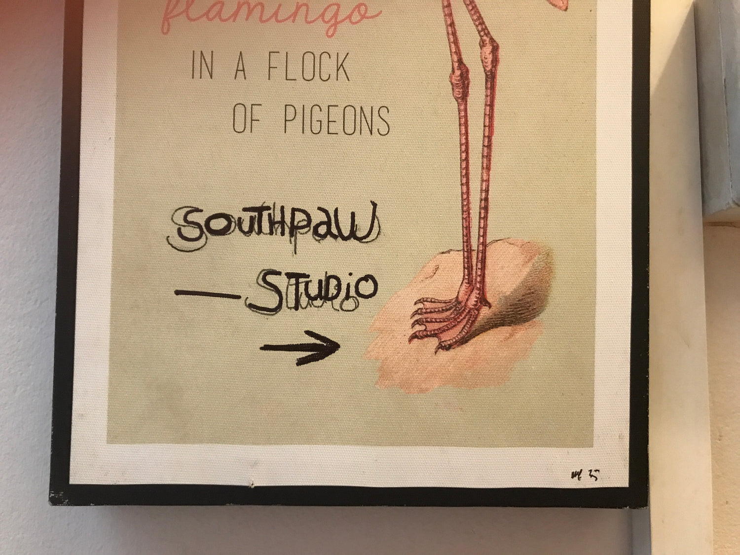 Southpaw studio
