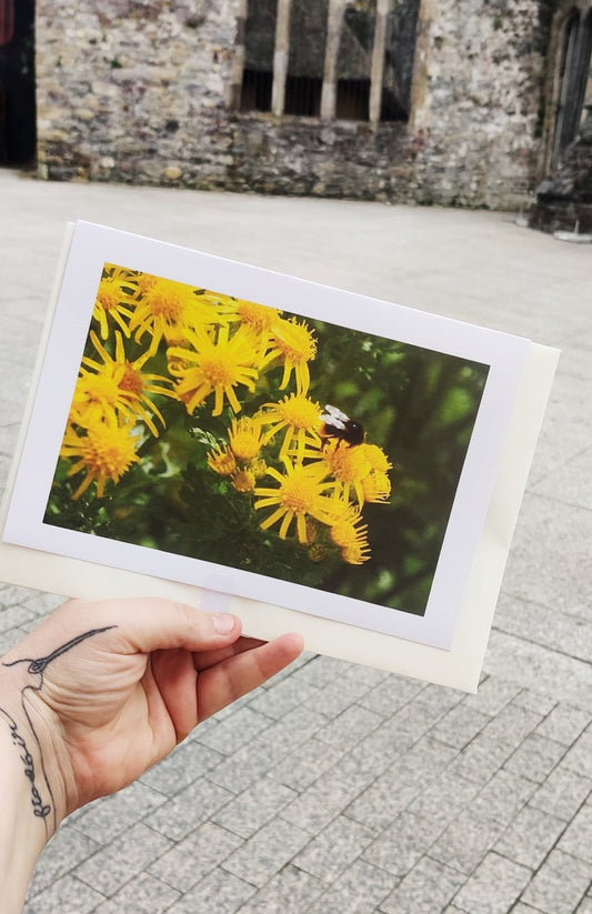 Wildflower cards