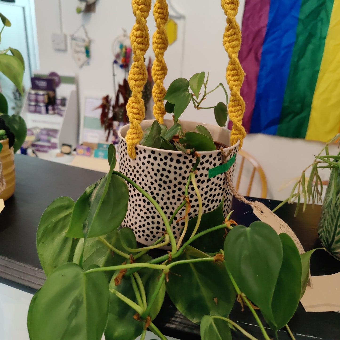 Macrame Hanging Planter