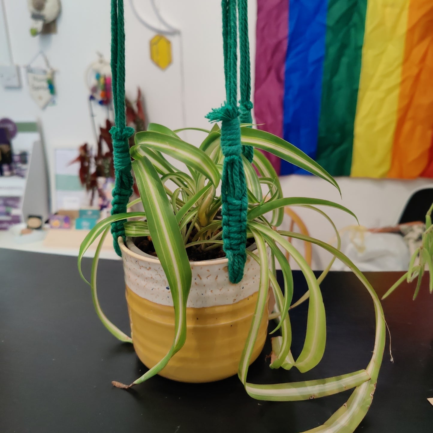 Macrame Hanging Planter