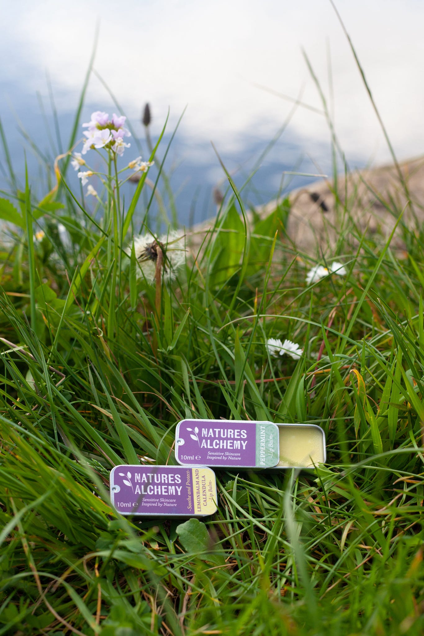 Lemon balm and calendula lip balm