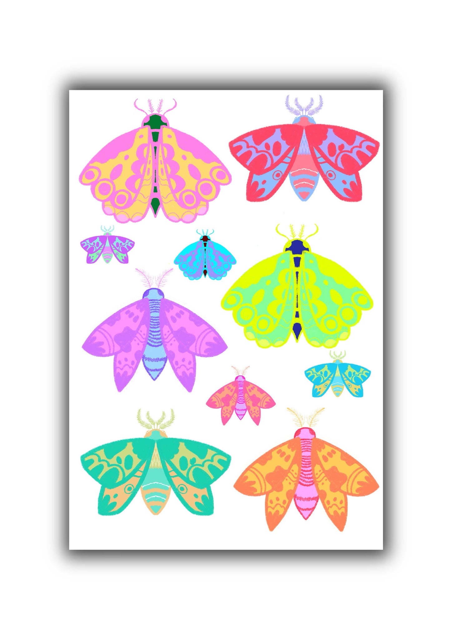 Rainbow Moths Art Print
