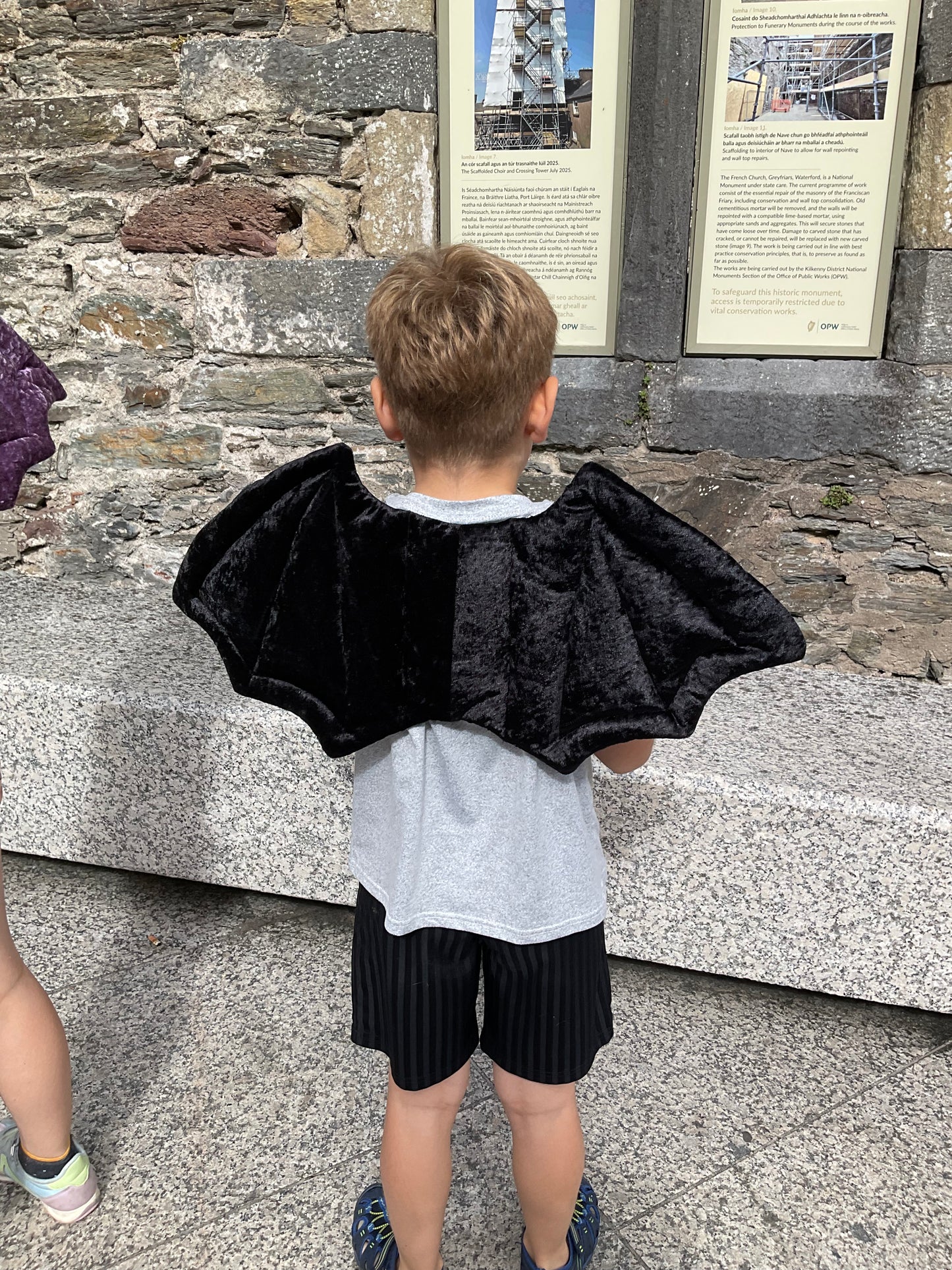 Fairy wings