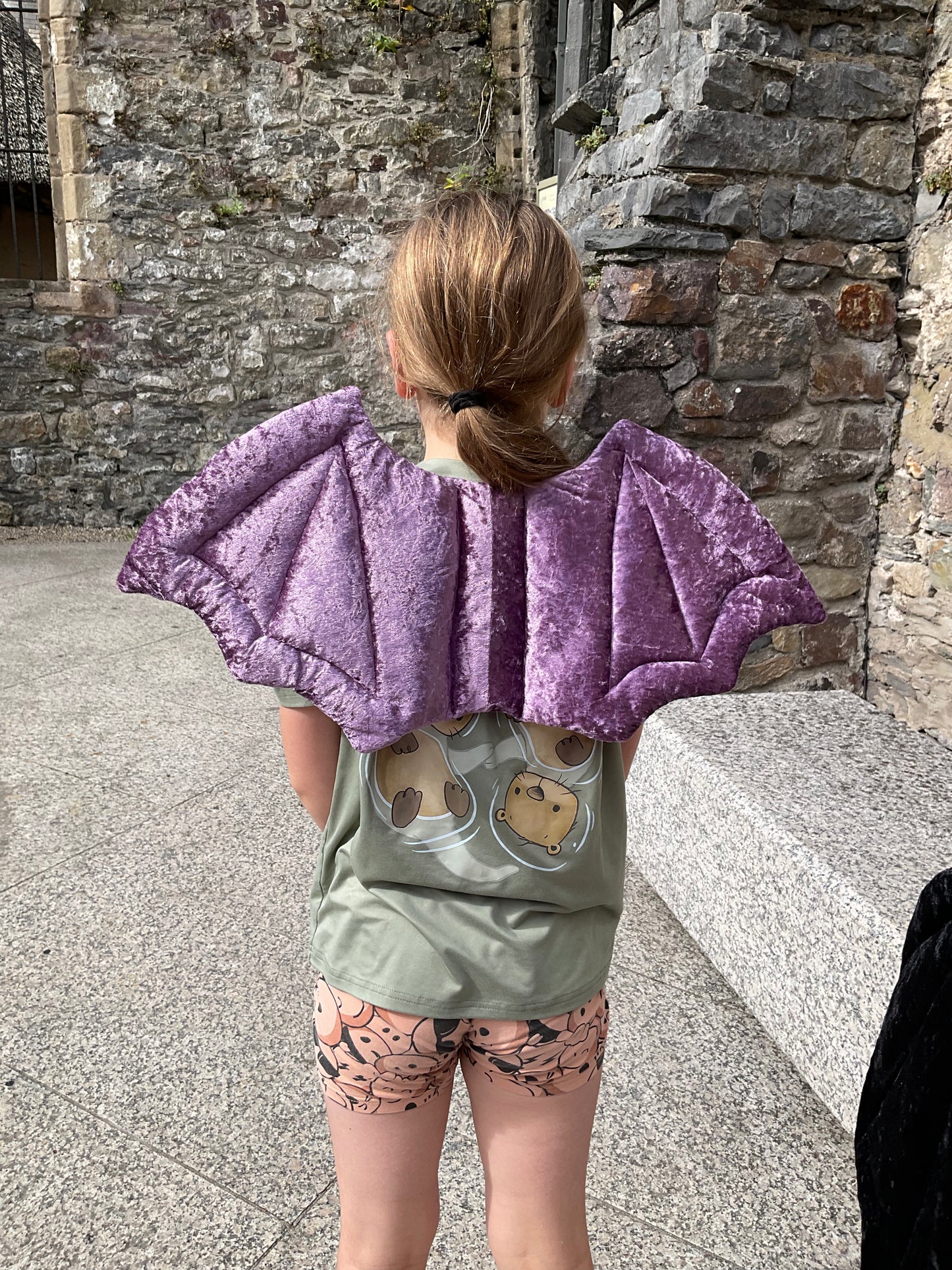 Fairy wings