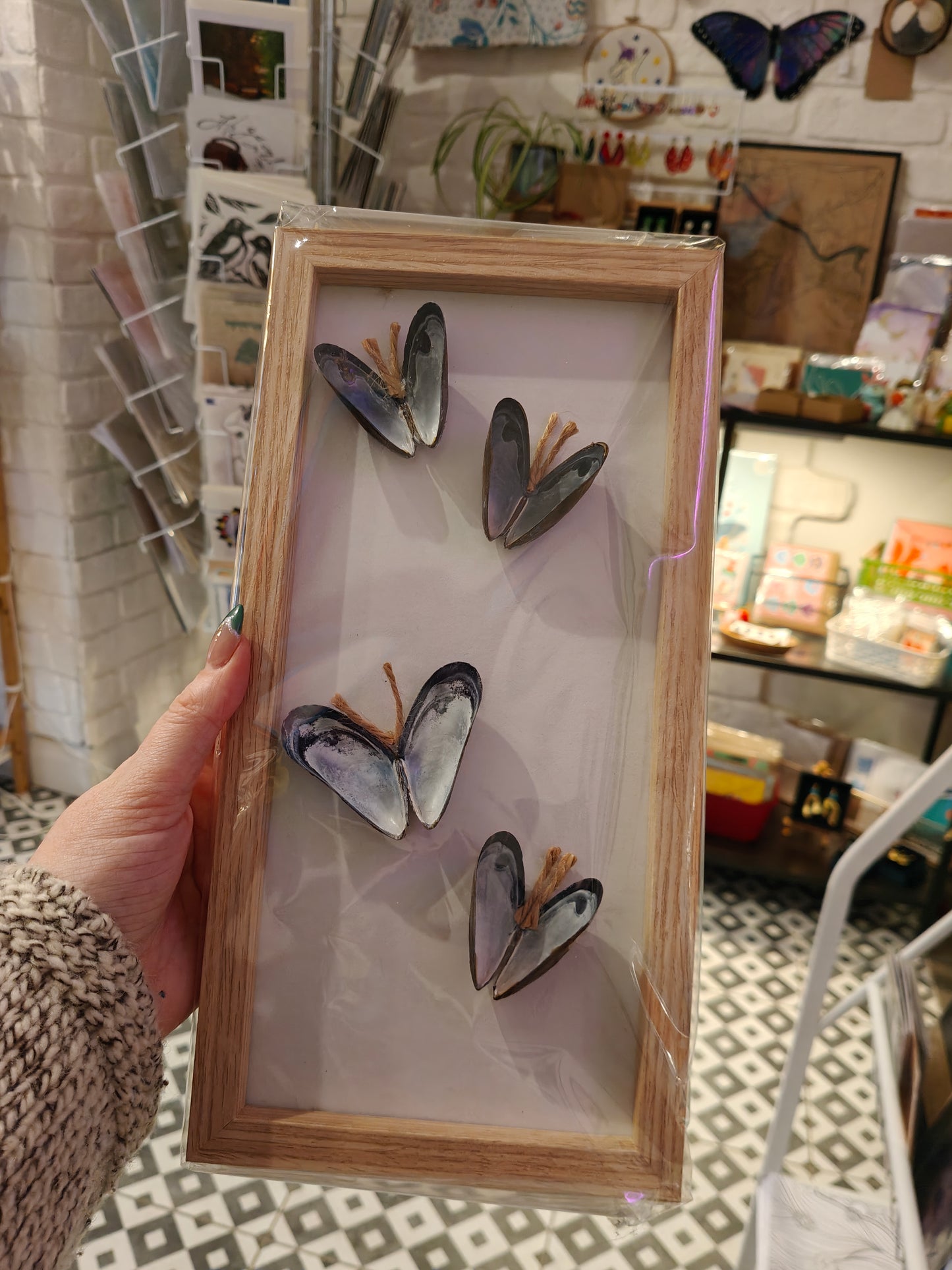 Long Mussel Butterfly Frame