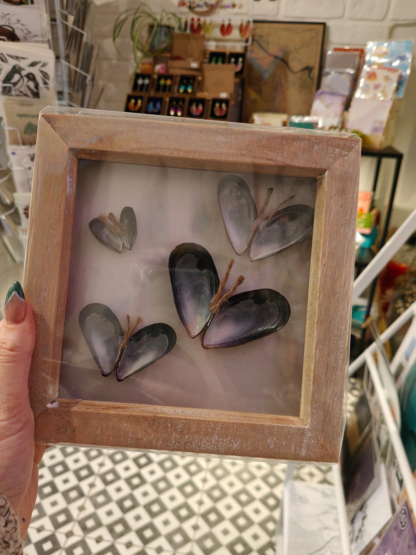 Shell 6x6 Square Frames