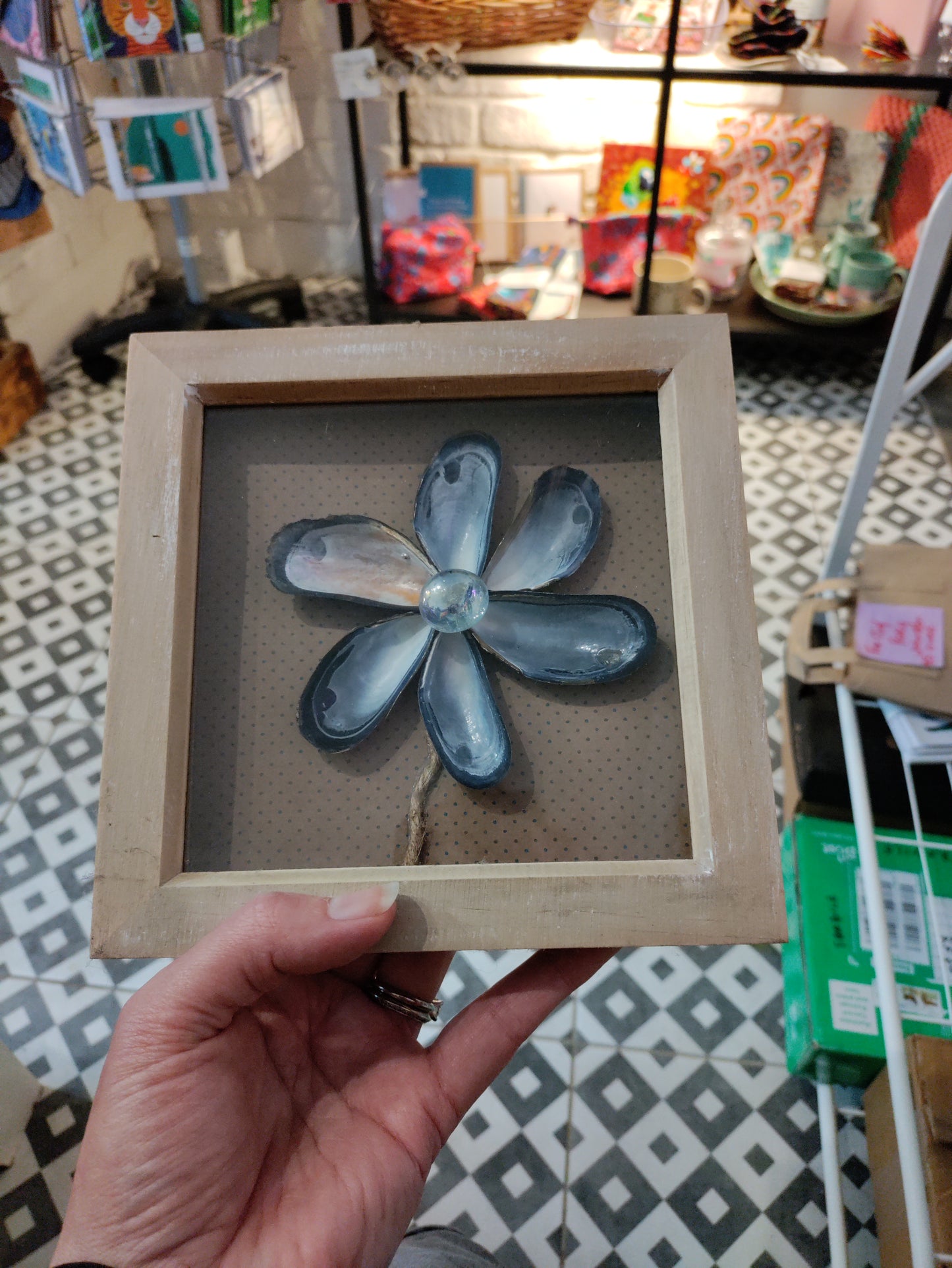 Shell 6x6 Square Frames