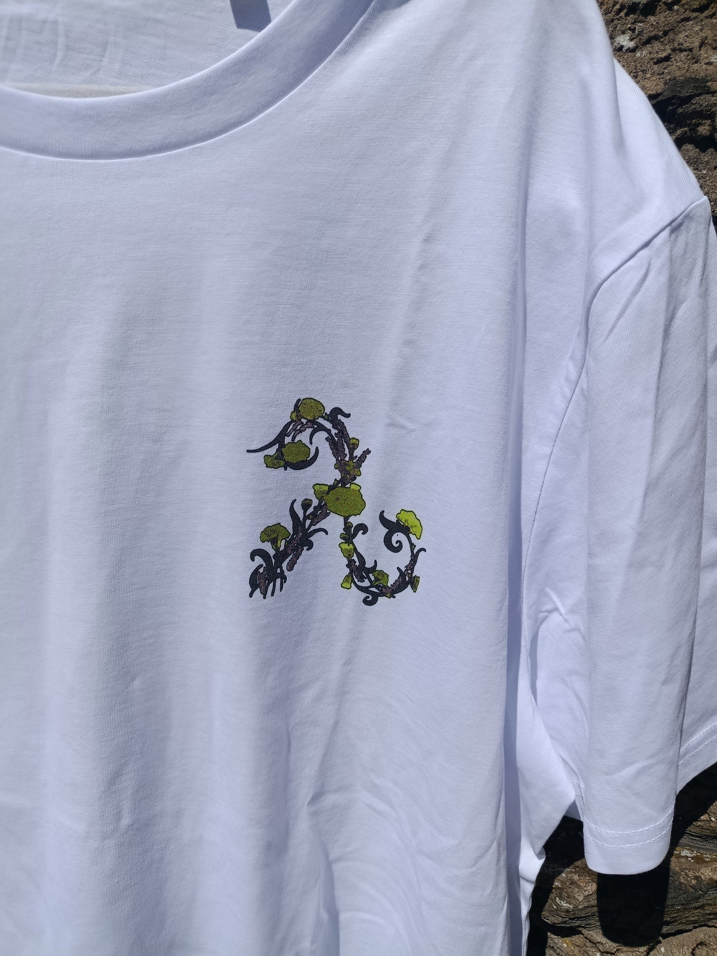 Pride of the Deise 2026 T-shirt