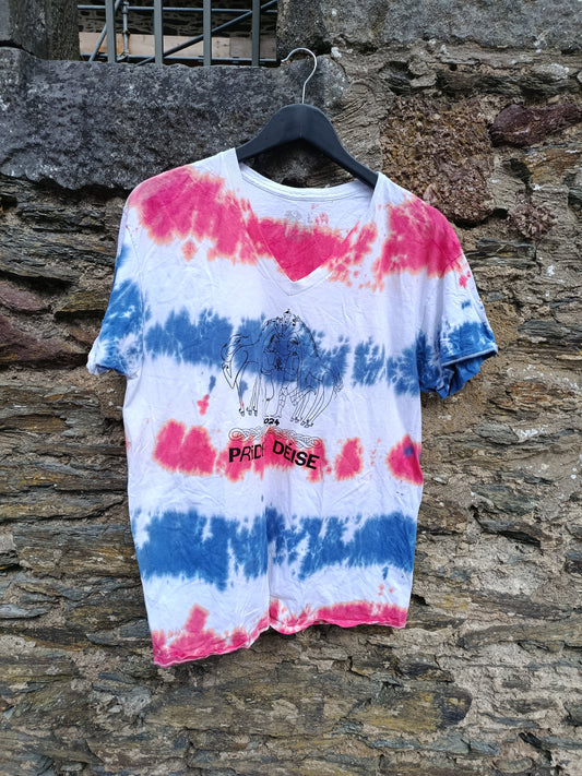 Pride of the Deise '25/'24 tye dye t-shirts