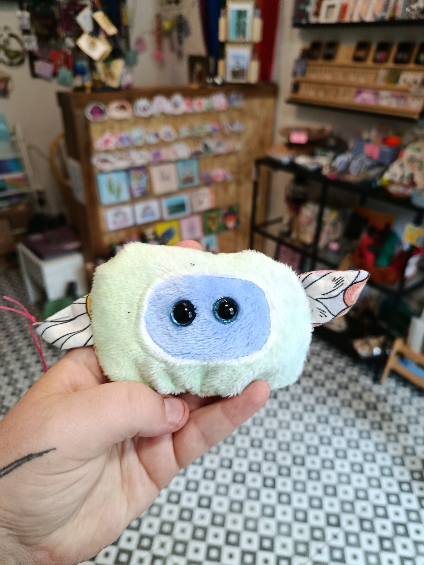 Kiwi - Sensory Squish