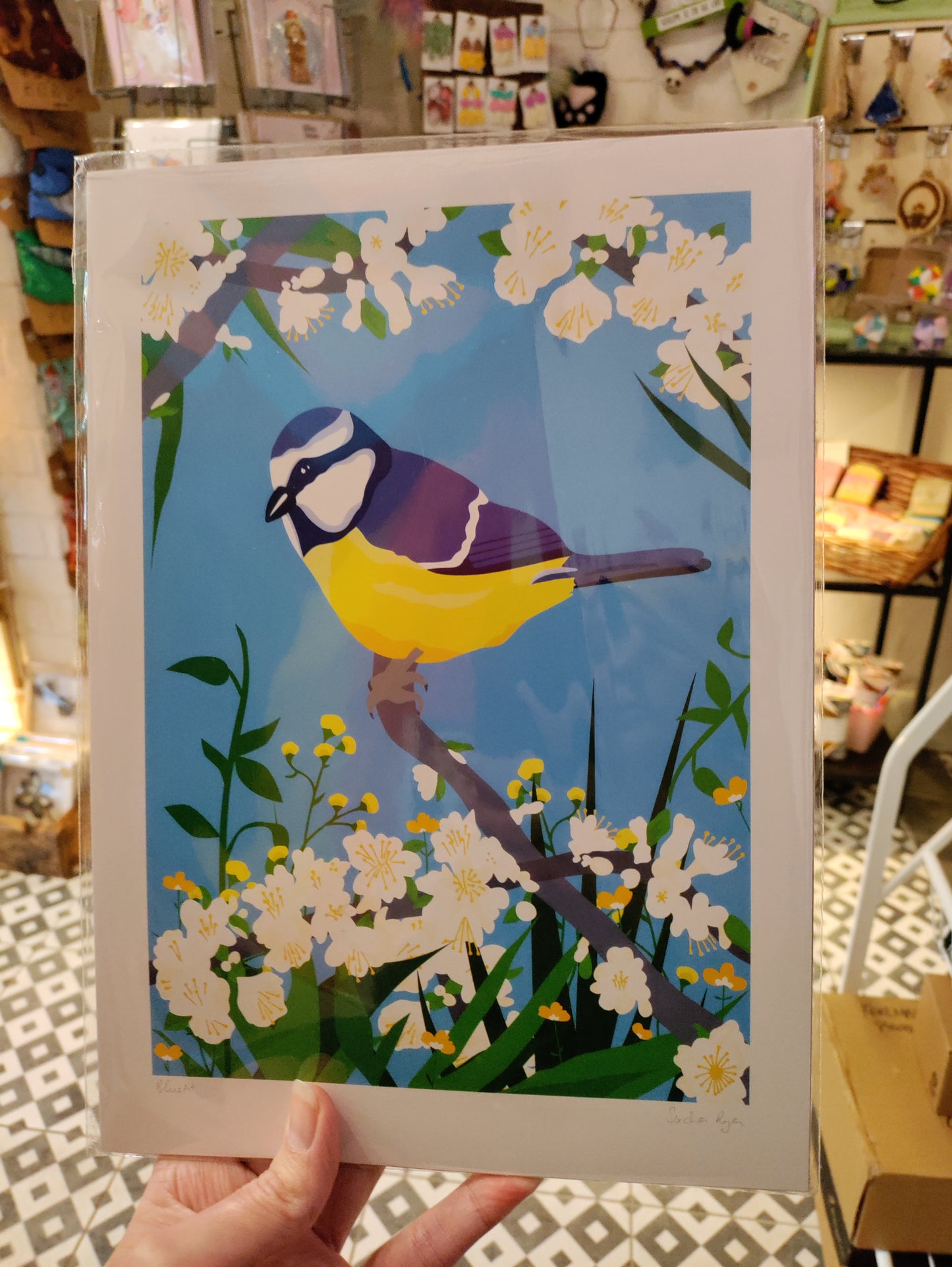 A4 Art Prints - Sorcha Ryan