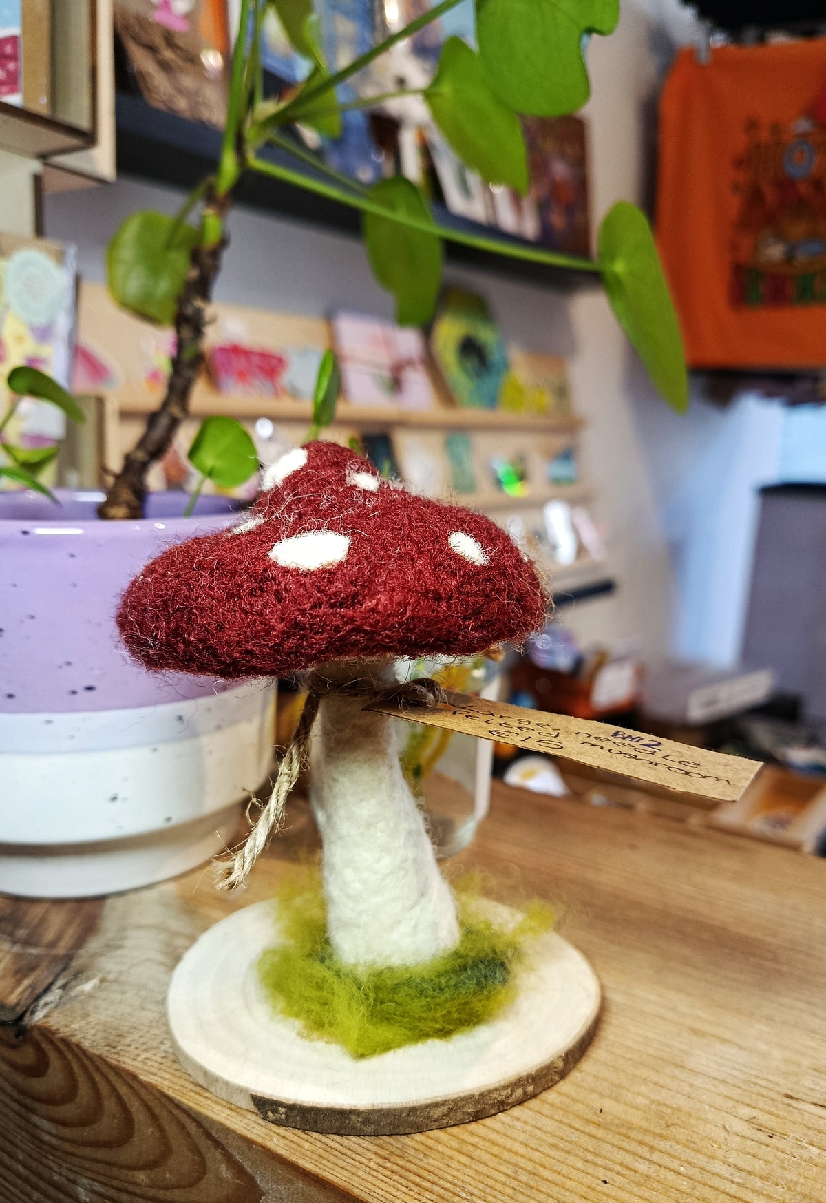 Needle felt Mushroom Sculptures