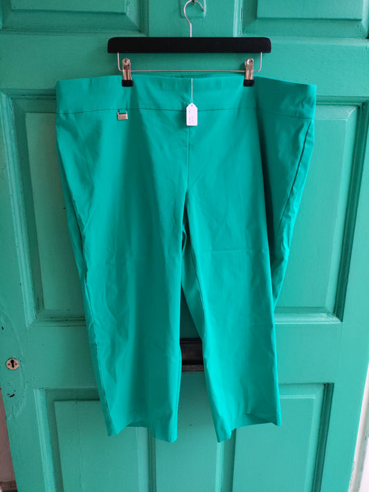 Plus size pants