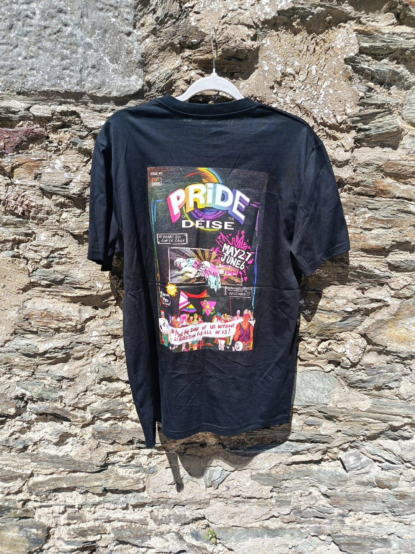 Pride of the Deise 2026 T-shirt