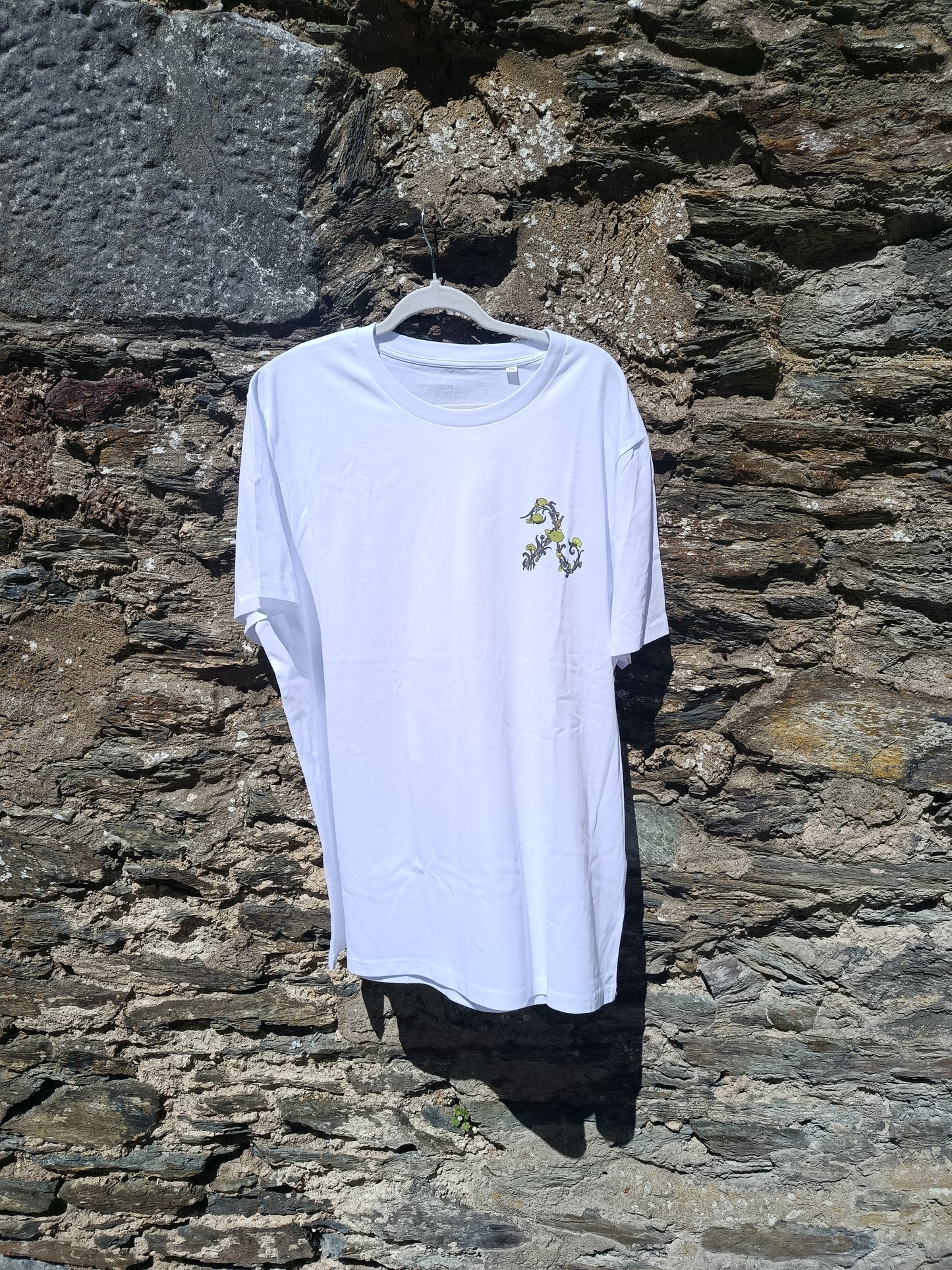 Pride of the Deise 2026 T-shirt