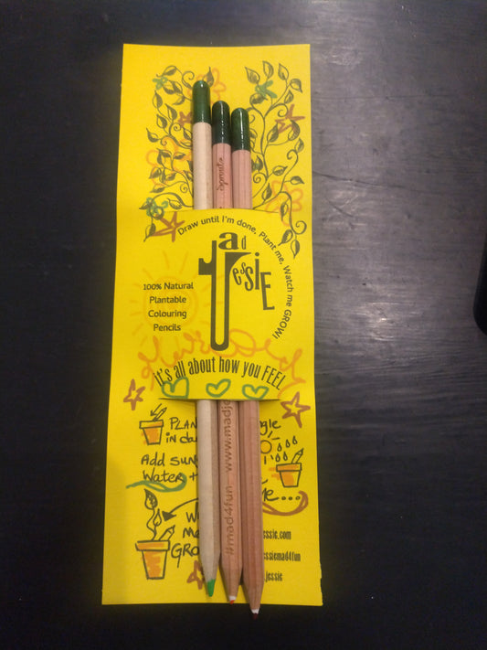 Plantable Colouring Pencils