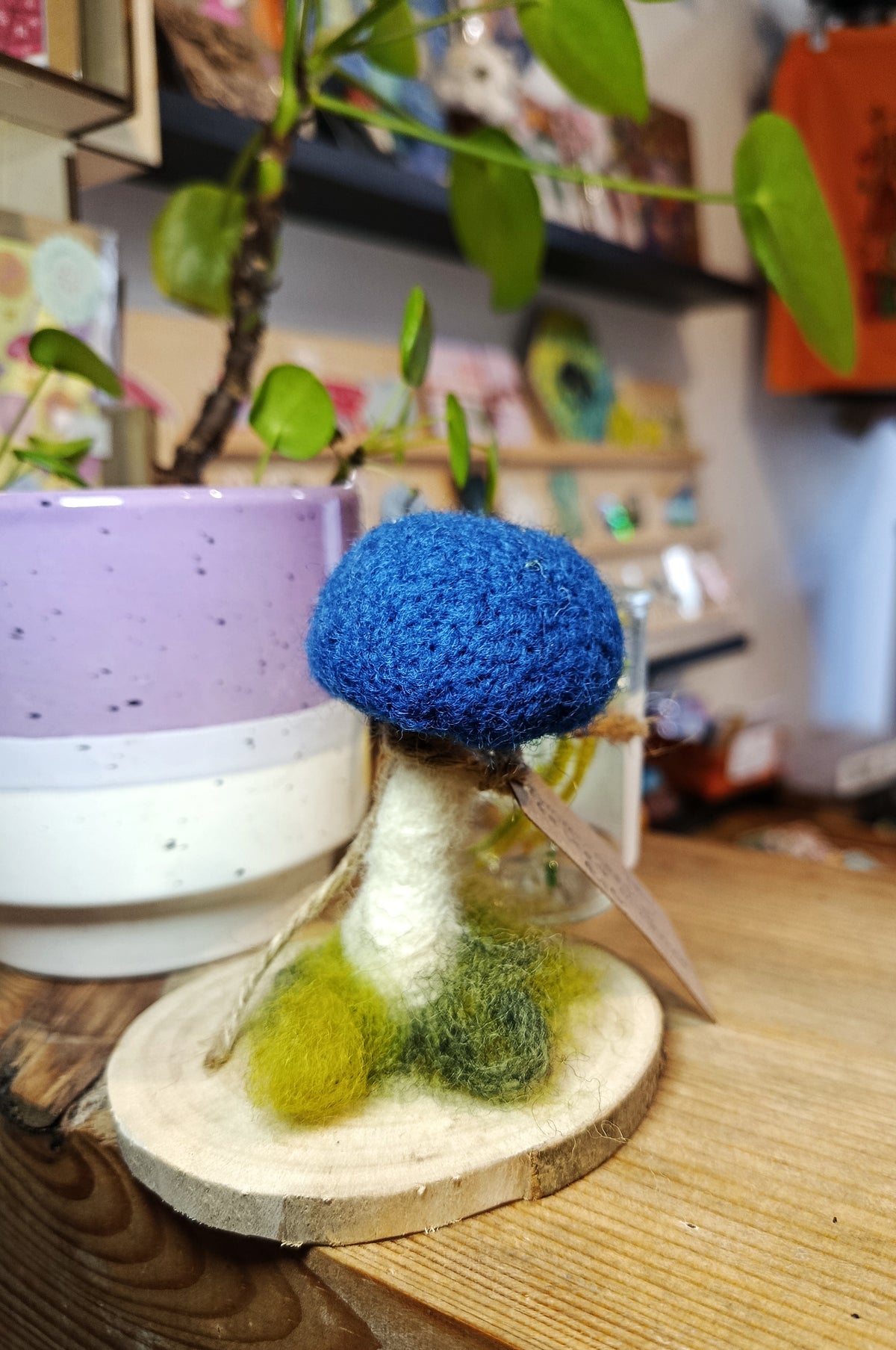 Needle felt Mushroom Sculptures