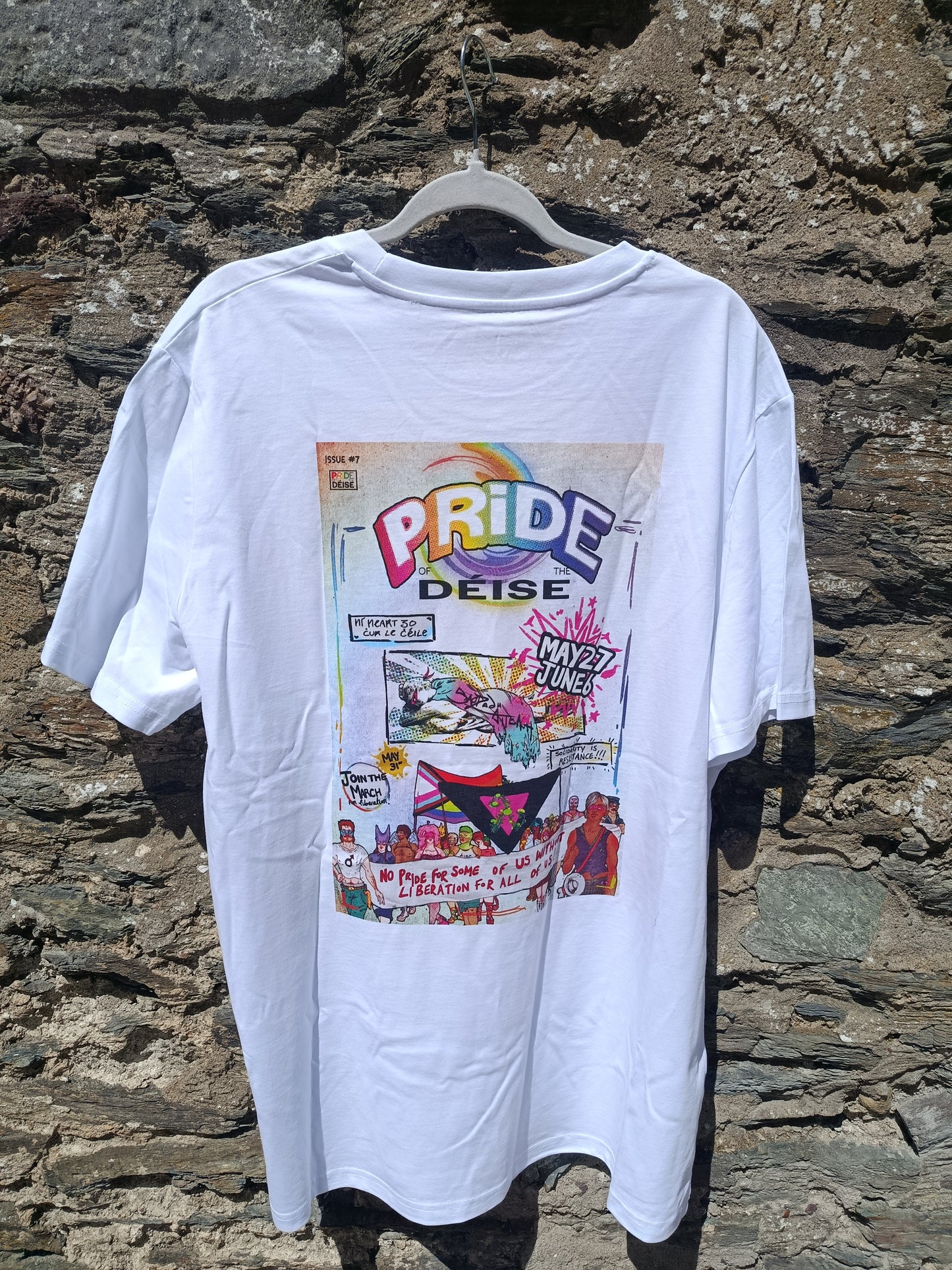 Pride of the Deise 2026 T-shirt
