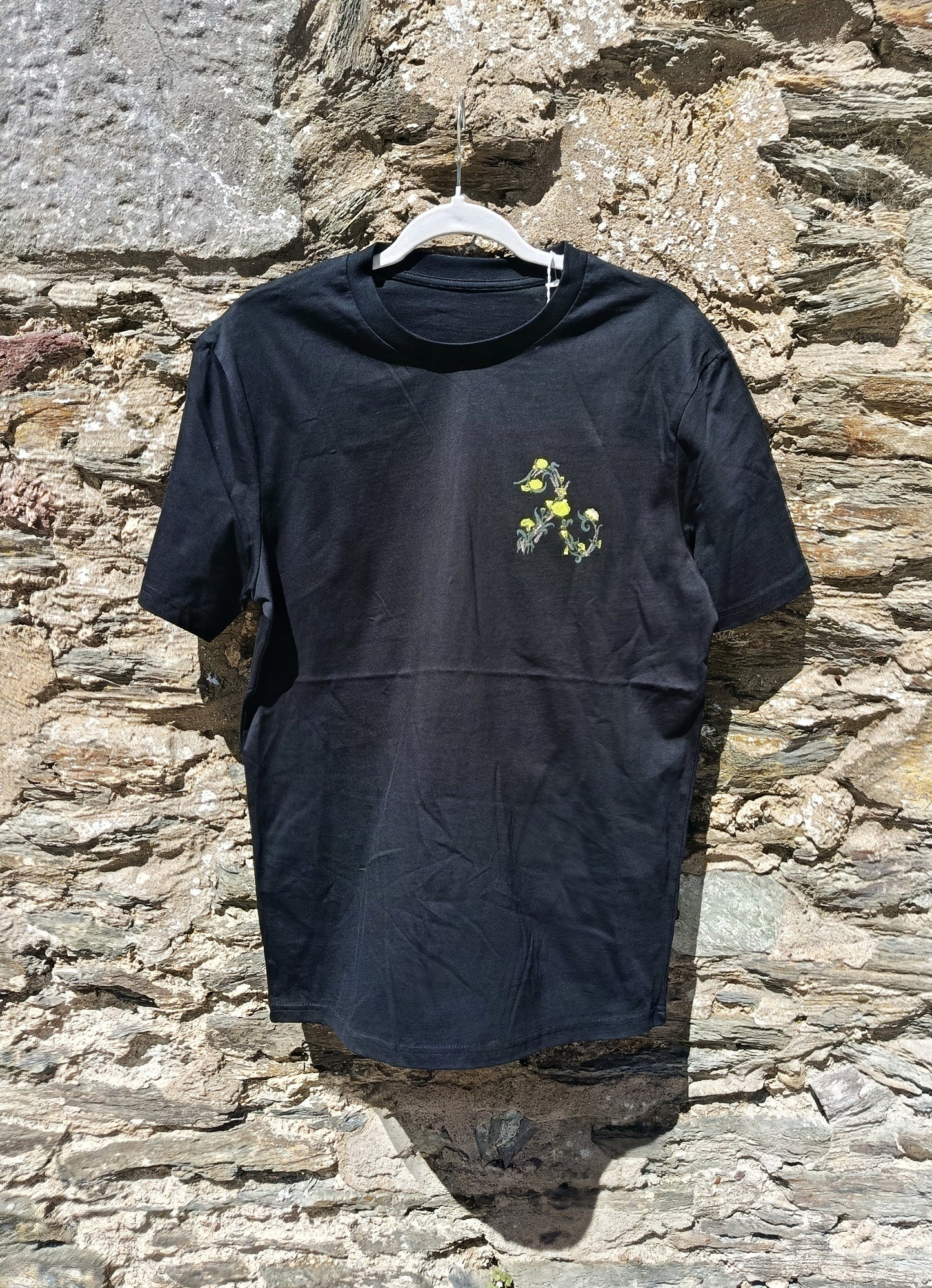 Pride of the Deise 2026 T-shirt