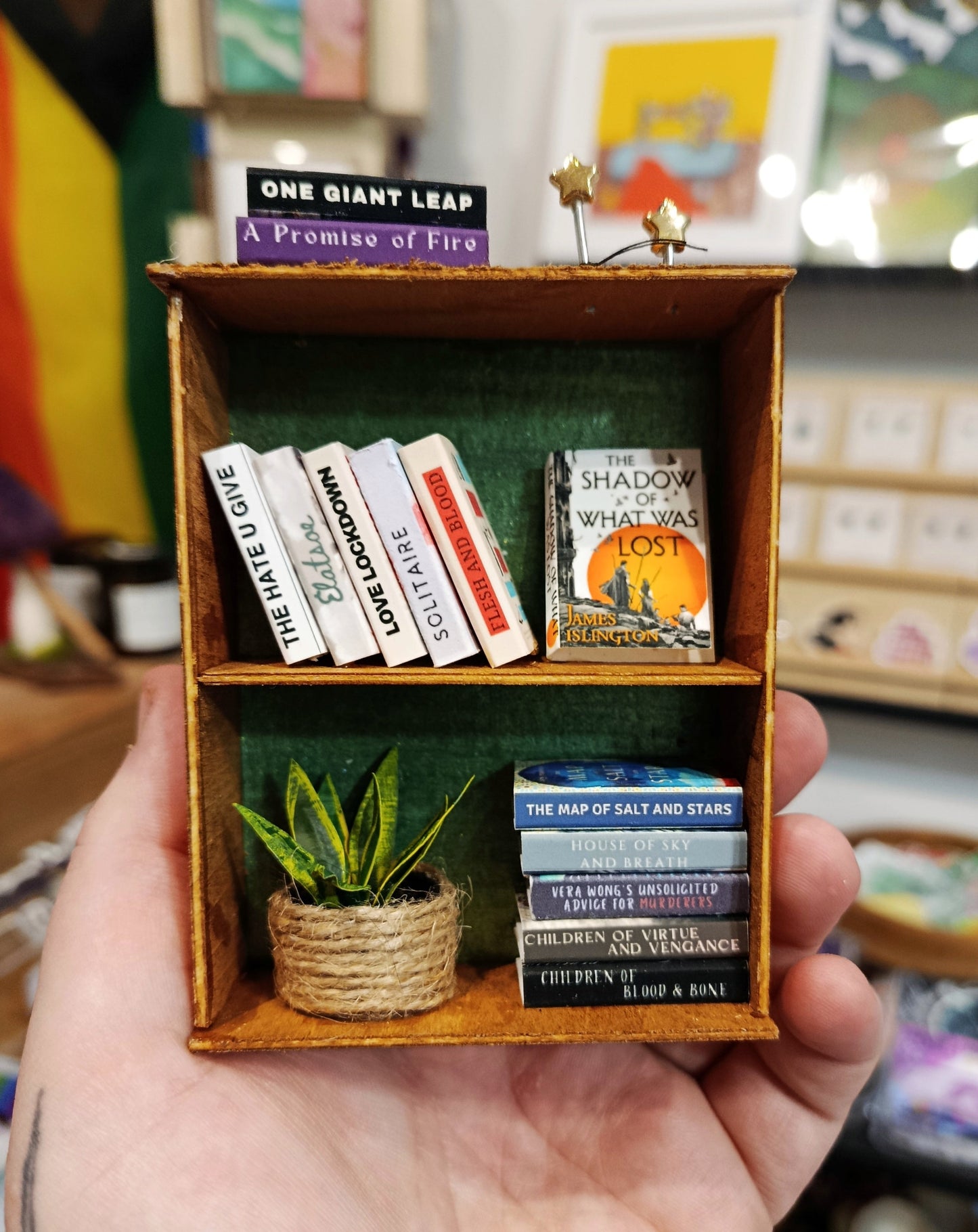 Mini Bookshelves