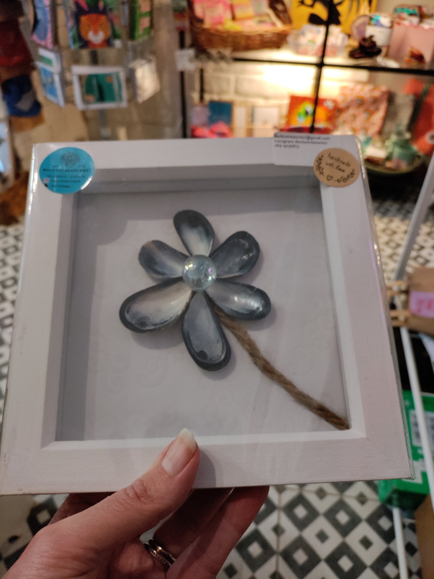 Shell 6x6 Square Frames